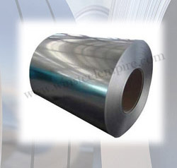 Galvanized  Coil